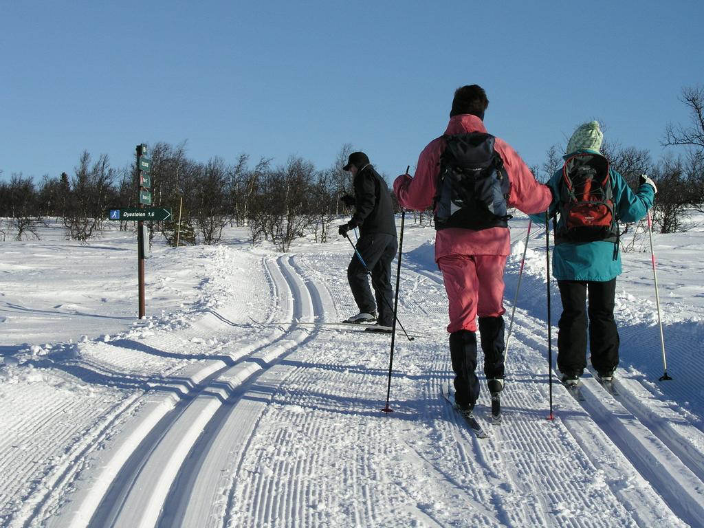 Birkelund Camping Geilo Exterior photo